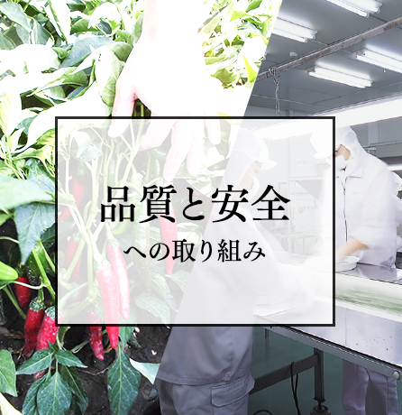 品質と安全への取り組み
